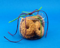 التعبئة والتغليف البلاستيكية